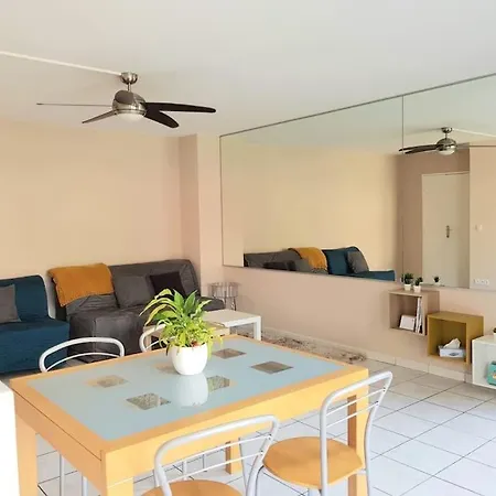 Apartment Confortable 2p 50m2 Dans Beau Parc,piscine,tennis Cannes